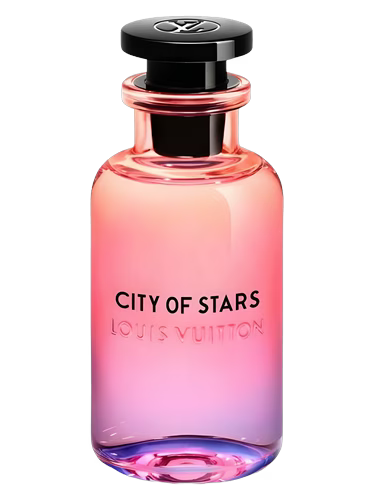 City of Stars Louis Vuitton Sample